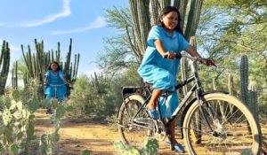 Two people in blue outfits ride bicycles on a dirt path through a desert landscape with cacti and shrubs under a blue sky. Credit World Bicycle Relief