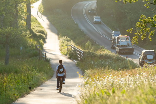 Person riding a bicycle on a sunlit path surrounded by greenery beside a busy road with cars and a tow truck.