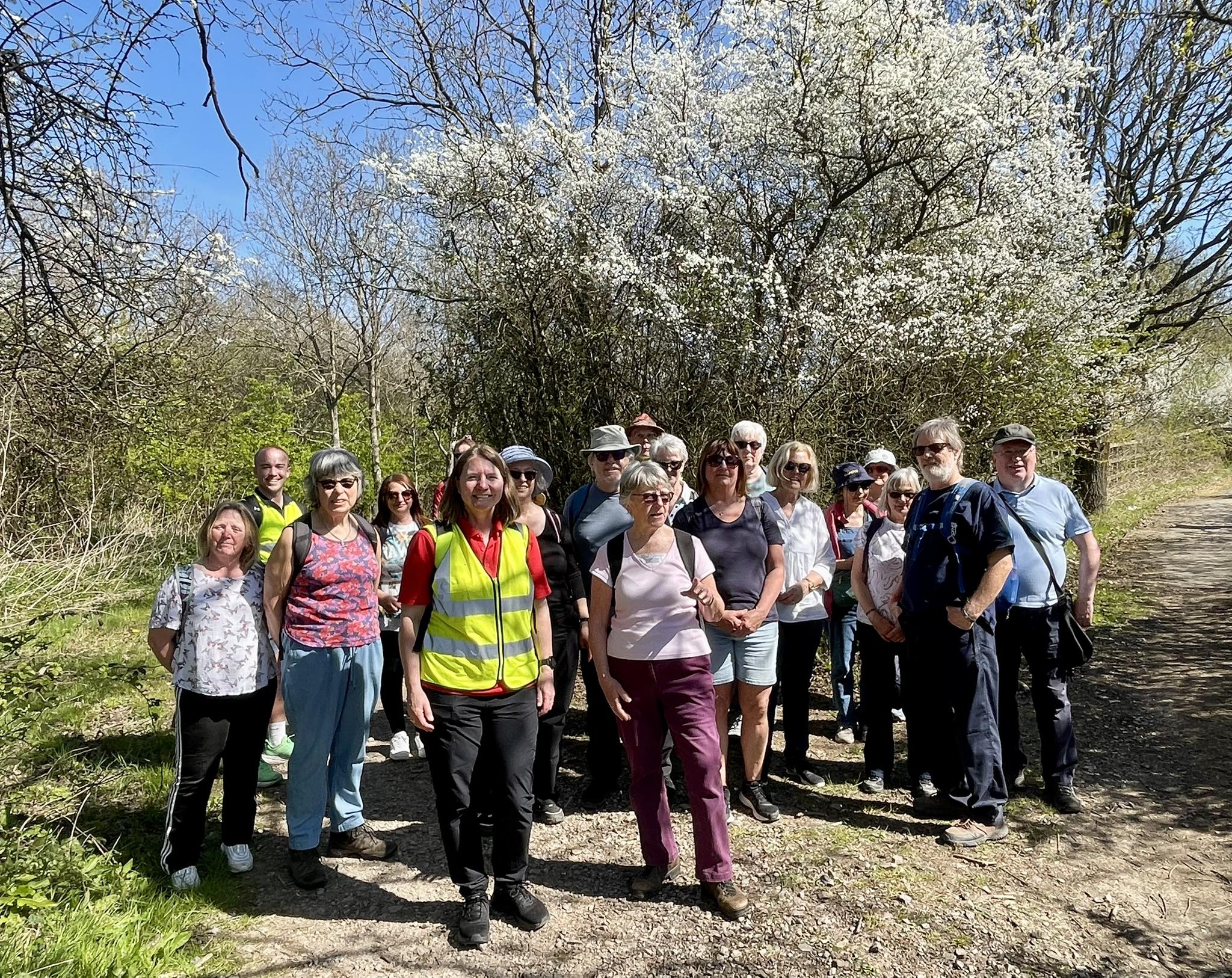 Group of hikers posing on a sunny trail with blooming white trees in the background during spring.