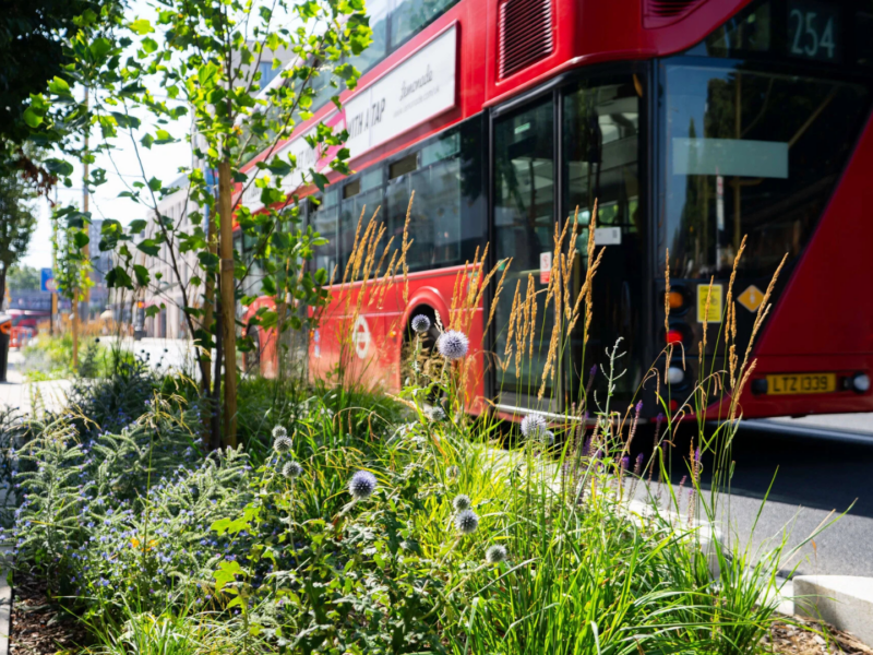 A red double-decker bus is partially visible behind a lush green and purple flowerbed on a sunny day.