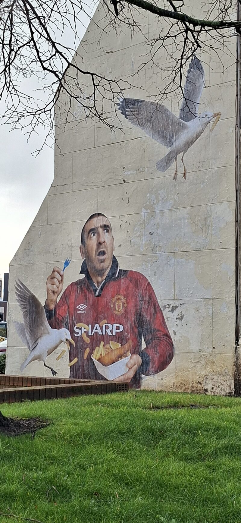 Mural of a man in a red football jersey holding a container of fish and chips, with seagulls flying around him and one reaching for the food.